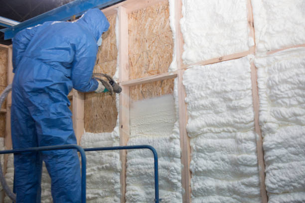 Types of Insulation We Offer in Topaz Ranch Estates, NV